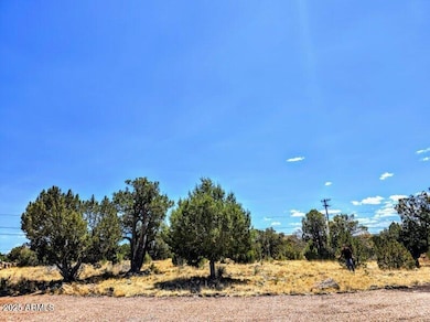 1939 Daggs Cir unit 24, Show Low, AZ 85901 - photo 2