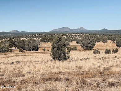 16 TUSCAN RD
