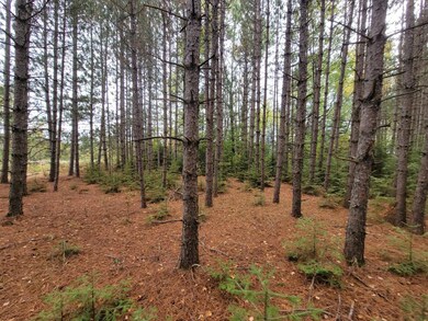 ON Cth B unit Lot 3, Antigo, WI 54424 - photo 6