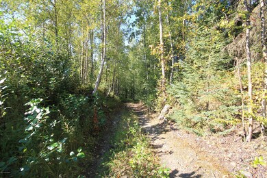 5939 E 38th Ct, Anchorage, AK 99504 - photo 3