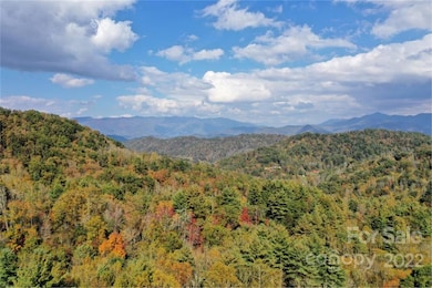 VL25 Mountain Forest Rd, Sylva, NC 28779 - photo 3