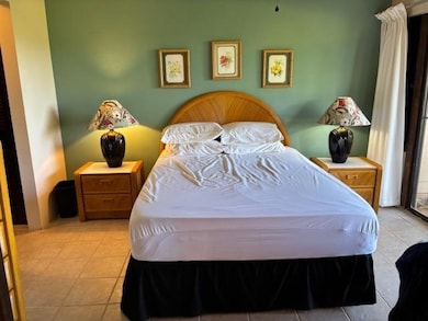 50 Kepuhi Place unit 159, Maunaloa, HI 96770 - photo 7