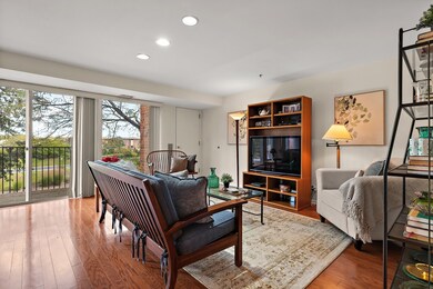 5020 Arbor Ln unit 203, Northfield, IL 60093 - photo 4