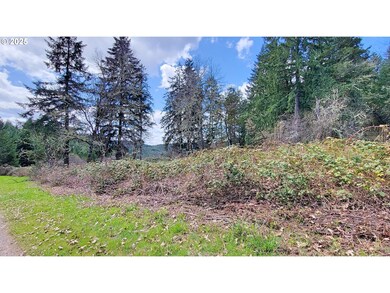 0 Bolton Hill Rd unit 315399452, Veneta, Or, OR 97487 - photo 7