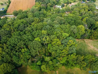 5.89 acres Joe Quick Rd, New Market, AL 35761 - photo 7