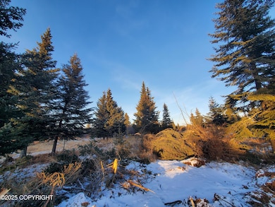 17573 Chefornak St, Happy Valley, AK 99639 - photo 3