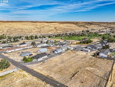 1390 Childers Rd, Arlington, OR 97812 - photo 5