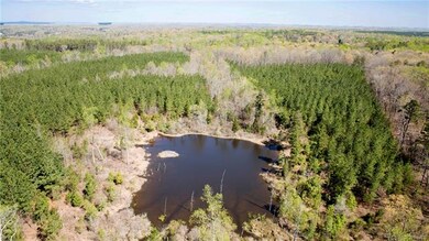 0 Will Johnson Rd, Patrick Henry, VA 23093 - photo 4