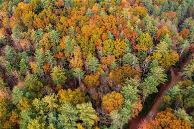 799 Whitecliff Dr, Ellijay, GA 30540 - photo 4