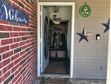 501 Land of Goshen Dr, Springtown, TX 76082 - photo 7