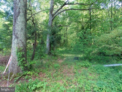 0 Friels Rd, 5, Queenstown, MD 21658 - photo 5