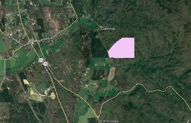 00 Dennis Mill Rd, Chatsworth, GA 30705 - photo 5