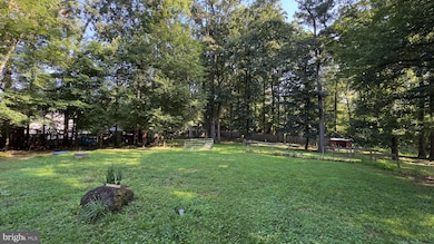 427 Springvale Rd, Great Falls, VA 22066 - photo 5