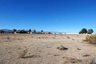 View of the lots