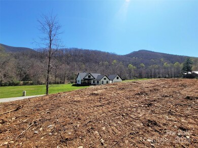 300 Shining Rock Dr unit 25, Canton, NC 28716 - photo 5