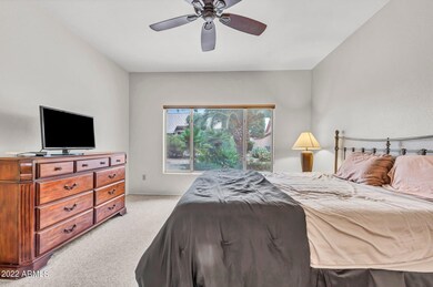 5-web-or-mls-_DSC9799