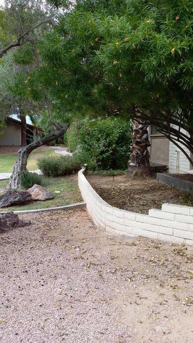 Front Yard