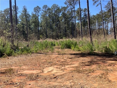 View of local wilderness