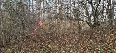 00001 Matt Hwy, Ball Ground, GA 30107 - photo 6