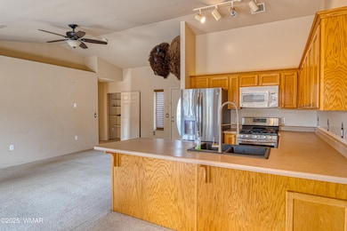 Kitchen to Living
