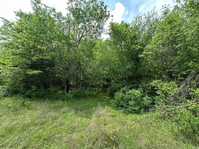 Tbd Lcr 628 Groesbeck unit TX 76642, Lake Limestone, TX 76642 - photo 7