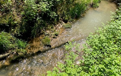 Additional View