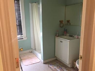 21 Caton St, Boston, MA 02136 - photo 4
