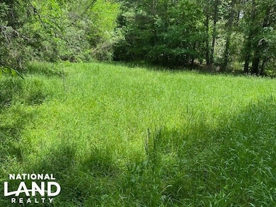 0 May Branch Rd, Cypress Inn, TN 38452 - photo 4