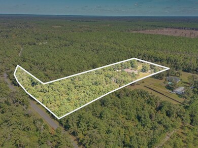 824 Wakulla Springs Rd, Crawfordville, FL 32327 - photo 2