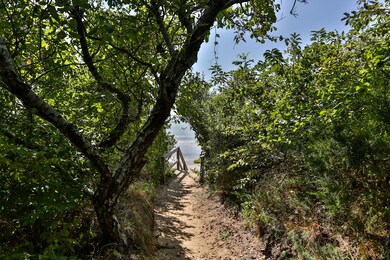 Association Beach Path