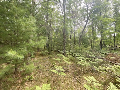 0 Stitt Ln unit 201835231, Mio, MI 48647 - photo 7