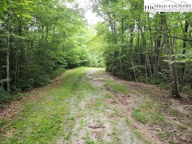 Hawk Lane