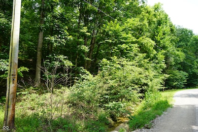 X Brown Hill Rd, Washington Township, IN 47448 - photo 4