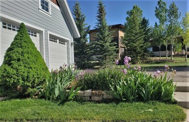 Perennials to south