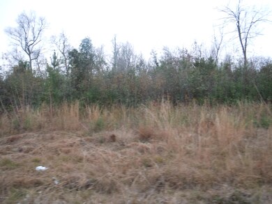 Road Frontage