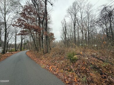 0 Collier Loop unit 309318, Dandridge, TN 37725 - photo 4