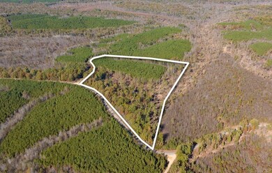 0 Old Highway 18 unit RTC2744753, Stewart, TN 37175 - photo 2