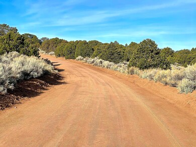 Butcher Rd, Fort Garland, CO 81133 - photo 7