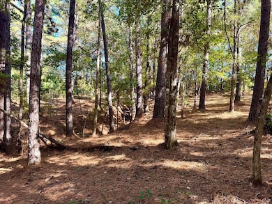 0 County Road 3568, Woodville, TX 75979 - photo 3