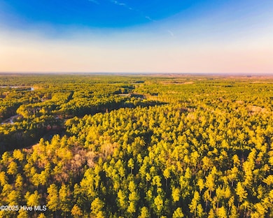DJI_0781-HDR-Pano