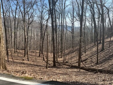 1400 Valley View Dr unit 7062, Jasper, GA 30143 - photo 2