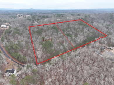 0 Henderson Rd unit 25381724, Odenville, AL 35120 - photo 2