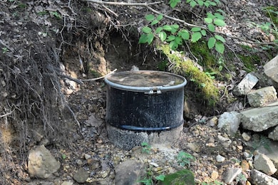 20298 Highway Vv, Licking, MO 65542 - photo 5