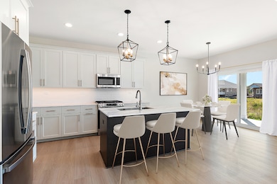 12193 Curragh Meadow Way, Lemont, IL 60439 - photo 6