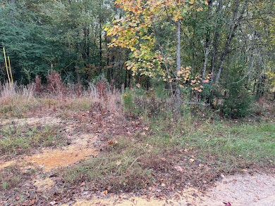 LOT 7 Evans Cir, Jasper, AL 35501 - photo 2