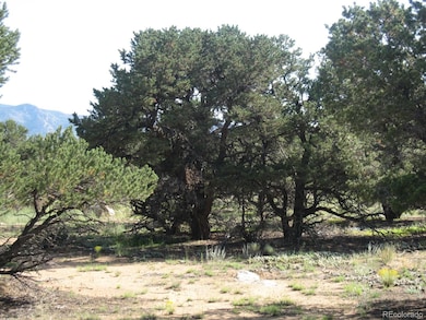 30036 Teal Run unit 13, Buena Vista, CO 81211 - photo 5