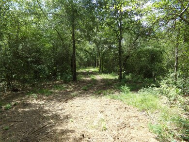 31375 Joseph Rd, Hockley, TX 77447 - photo 3