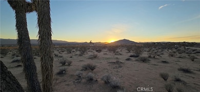 2 Belmont St, Joshua Tree, CA 92252 - photo 2