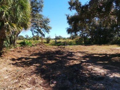 23080 Linda Lee Way, Fort Myers, FL 33913 - photo 5