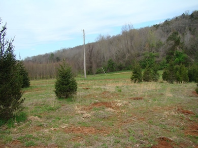 42.37 ac Cherry Creek Rd, Cookeville, TN 38506 - photo 4